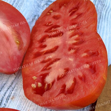 Томат ГНОМ Восставший Звездный Истребитель ДЕДУШКИНО СЕРДЦЕ / Dwarf RS Grandpa's Heart