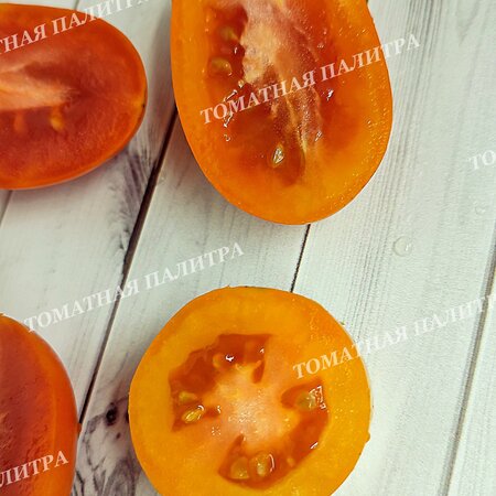 Томат ЕЛИСЕЙ