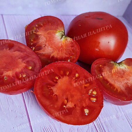 Томат ДАНА К