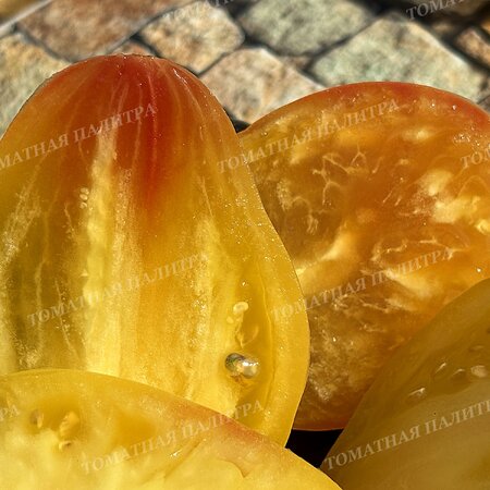 Томат БЕЛОЕ СЕРДЦЕ СОФИИ