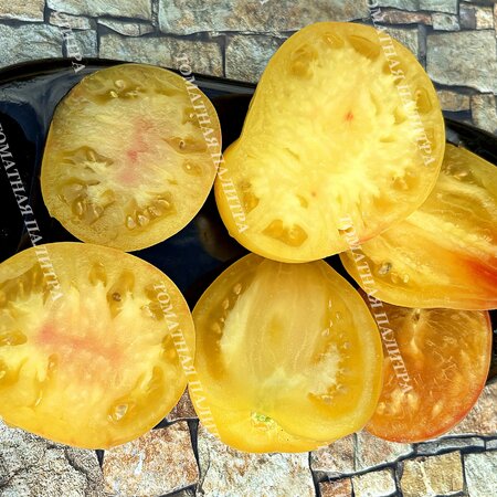 Томат БЕЛОЕ СЕРДЦЕ СОФИИ