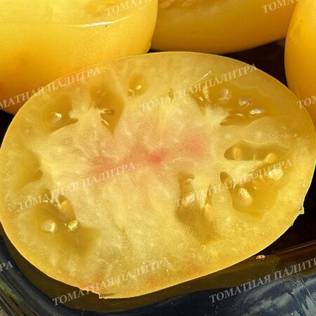 Томат БЕЛОЕ СЕРДЦЕ СОФИИ