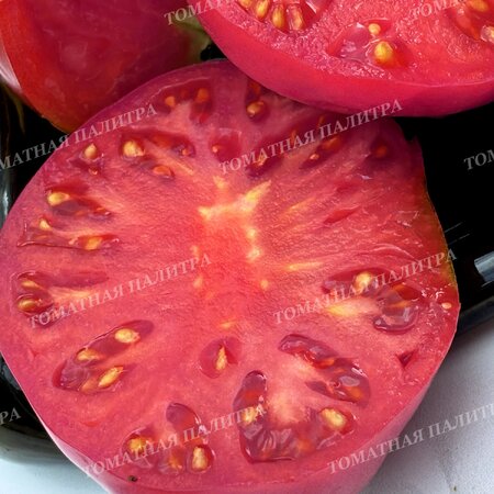 Томат БИЙСКАЯ РОЗА