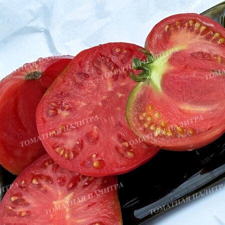 Томат БИЙСКАЯ РОЗА