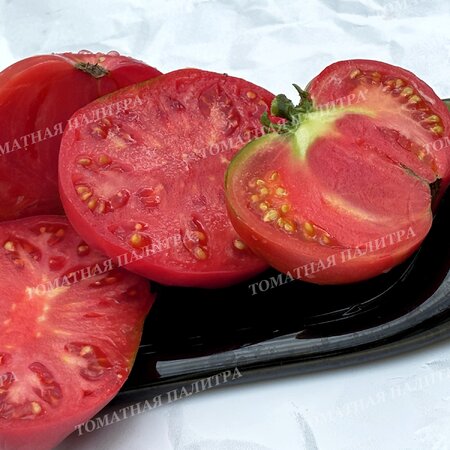 Томат БИЙСКАЯ РОЗА