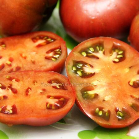 Томат Гном Дикий картофельный лист/ Вайлд Спудлеаф (Dwarf Wild Spudleaf)