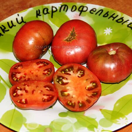 Томат Гном Дикий картофельный лист/ Вайлд Спудлеаф (Dwarf Wild Spudleaf)