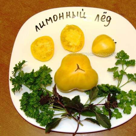 Томат Гном Лимонный Лёд / Лимонное мороженое (Dwarf Lemon Ice), Австралия