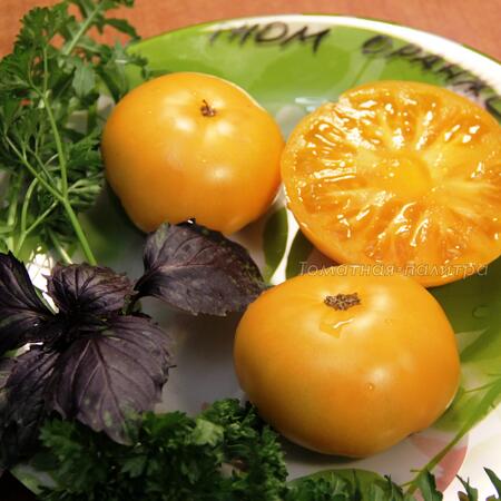 Томат Гном Оранжевый/Апельсиновый Крем (Dwarf Orange Cream), Австралия