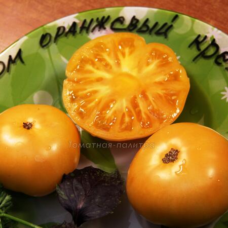 Томат Гном Оранжевый/Апельсиновый Крем (Dwarf Orange Cream), Австралия