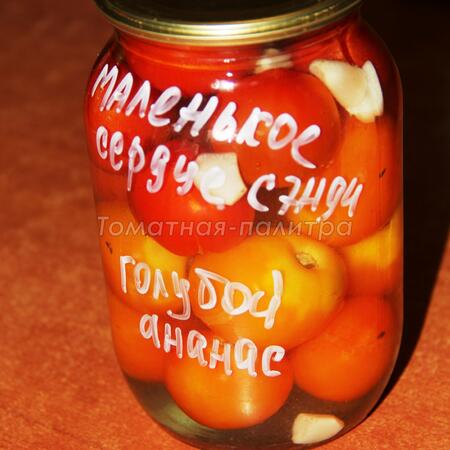 Томат Голубой / Синий Ананас (Ananas Blue), Бельгия