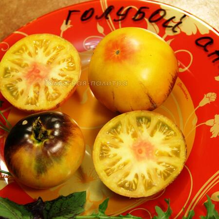 Томат Голубой / Синий Ананас (Ananas Blue), Бельгия