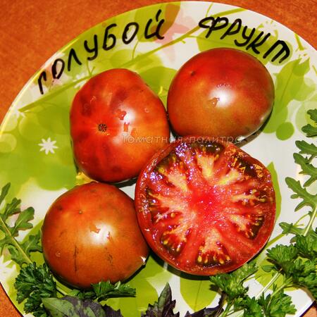 Томат Голубой фрукт / Синий (Noir blue fruit), Франция