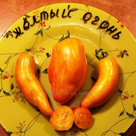 Томат Желтый огонь (Yellow Fire)