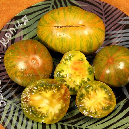 Томат Зеленая Копия (Green Copia), США