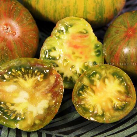 Томат Зеленая Копия (Green Copia), США