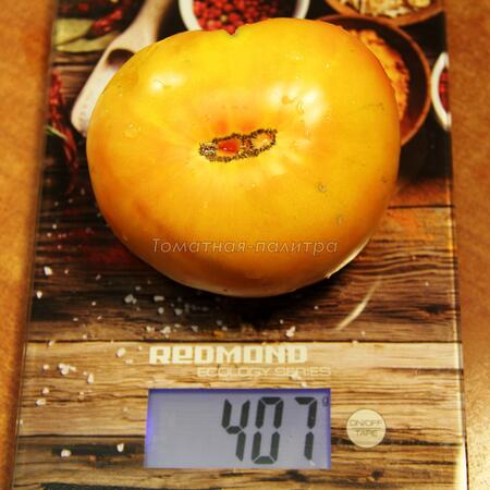 Томат Золотой Ананас (Ananas Gold), США