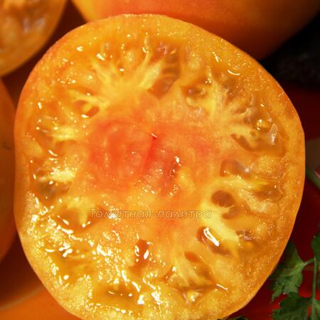 Томат Золотой Ананас (Ananas Gold), США