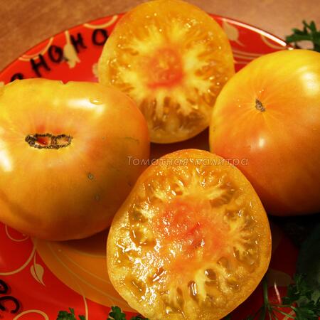 Томат Золотой Ананас (Ananas Gold), США
