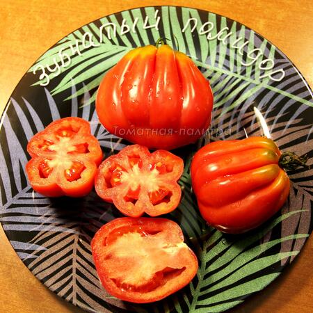 Томат Зубчатый помидор (Gezante Tomato Buhrer-Keel), Италия