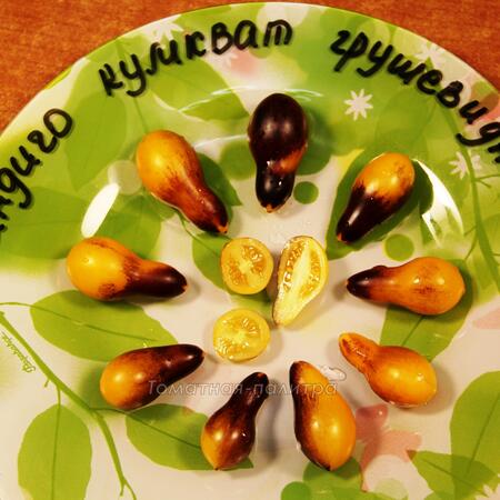 Томат Индиго кумкват грушевидный (Indigo Kumquat pear)