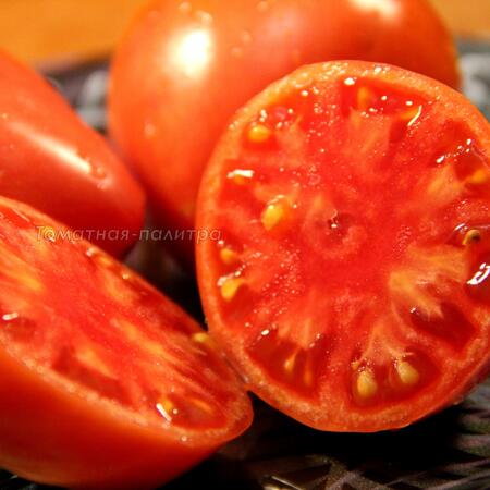Томат Знаменитая Клубника миссис Шлаубах (Mrs. Schlaubaugh's Famous Strawberry), США