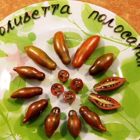Томат Оливетта Полосатая (Olivette Striée)