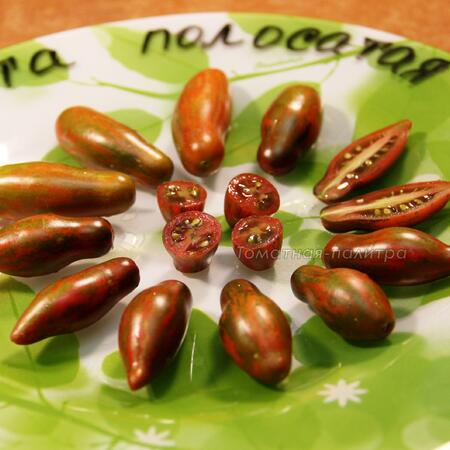 Томат Оливетта Полосатая (Olivette Striée)