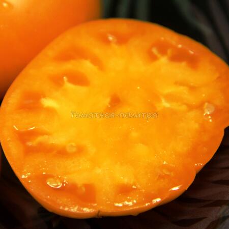 Томат Хурма / Персимон (Persimmon), США