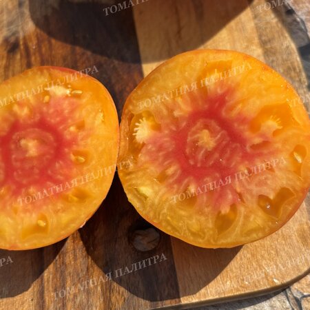 Томат Полосатый Синка (Sinks Striped), США