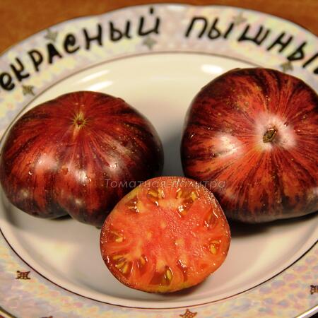 Томат Прекрасный пышный (Lovely Lush), США
