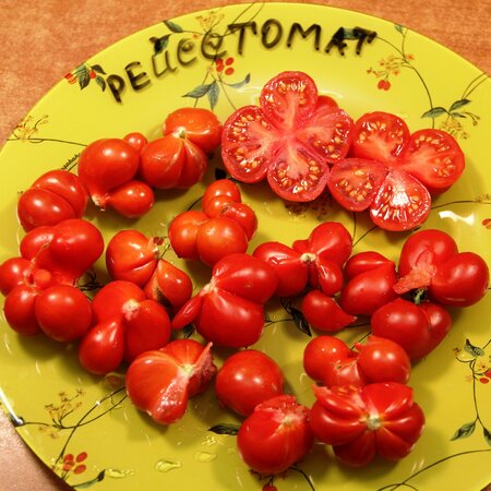Томат Рейсетомат / Чесночный (Reisetomate), Гватемала