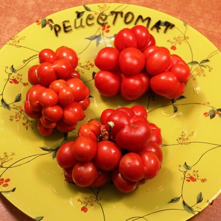 Томат Рейсетомат / Чесночный (Reisetomate), Гватемала