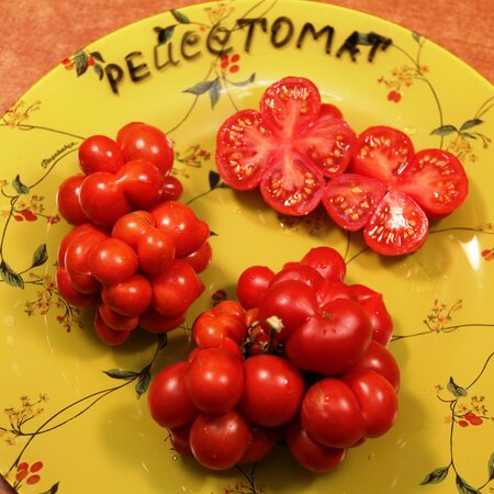Томат Рейсетомат / Чесночный (Reisetomate), Гватемала