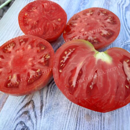 Томат Розовый Джаз / ДЖАЗ (Pink Jazz / Jazz), США