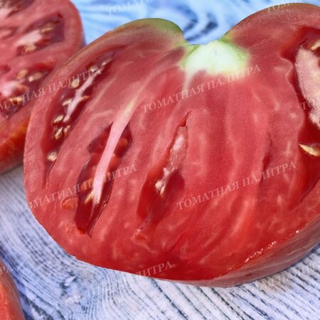 Томат Розовый Джаз / ДЖАЗ (Pink Jazz / Jazz), США