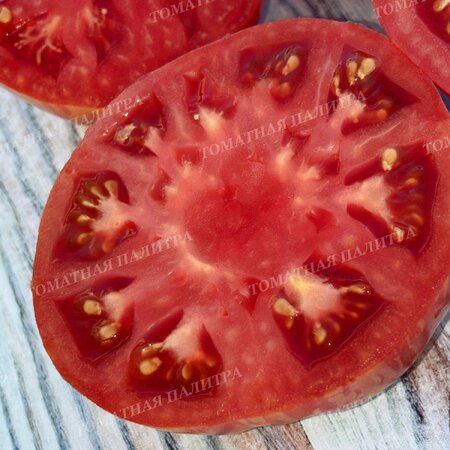 Томат Розовый Джаз / ДЖАЗ (Pink Jazz / Jazz), США