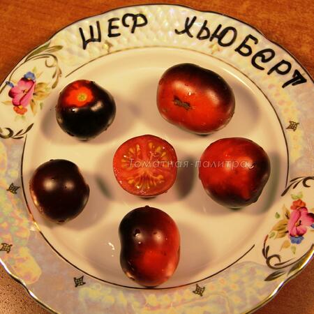 Томат Шеф Хьюберт (Chef Hubert), США