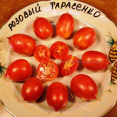 Томат Розовый Тарасенко