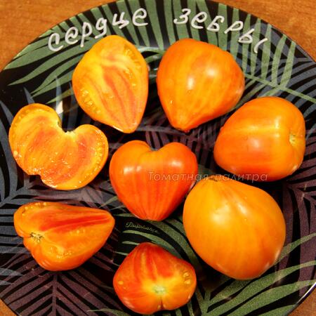 Томат Сердце абрикосовой зебры (Heart of Zebre Apricot), Франция