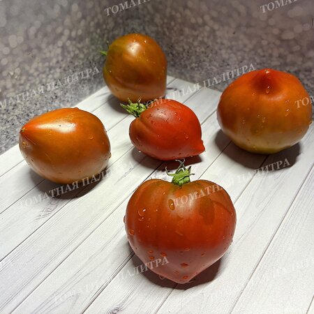 Томат Сердце Линнея (Linnaeus heart), США