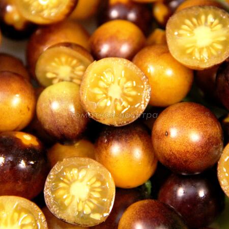 Томат Сине-Золотые Ягоды (Blue gold berries), США