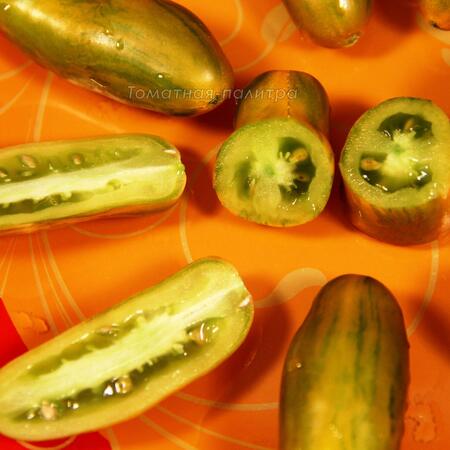Томат Сосиска Зеленая (Green Sausage), Нидерланды