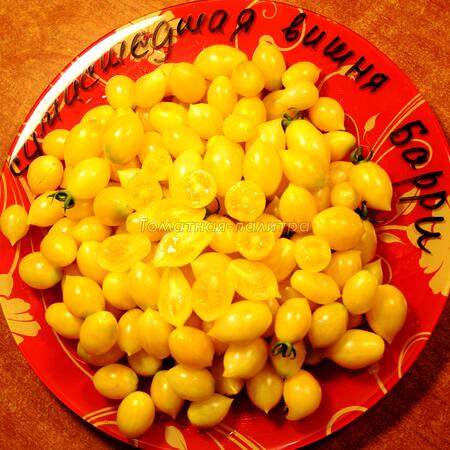 Томат Сумасшедшие вишни Барри (Barry's crazy cherry), США