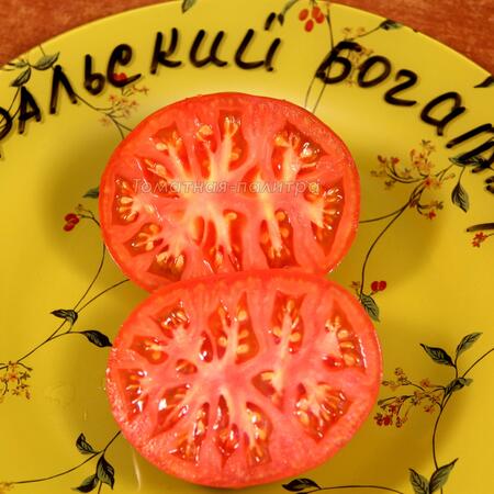 Томат Уральский богатырь