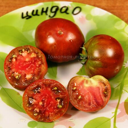 Томат Циндао (Cindao) 