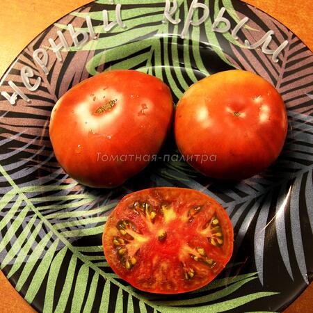 Томат Черный Крым (Black Krim) / ВКХ