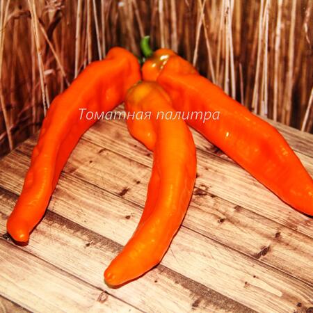 Томат Перец РАМИРО ОРАНЖЕВЫЙ