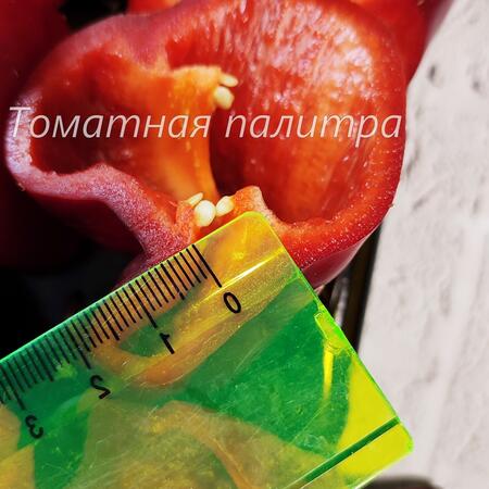 Томат Перец ВЕНГЕРСКАЯ ЧЕРНАЯ ПАПРИКА