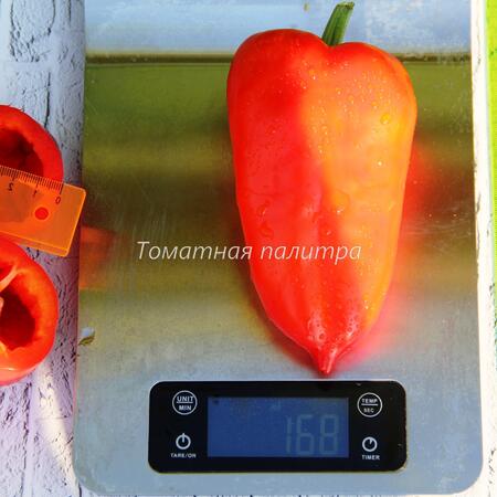 Томат Перец СОРОКСАРИ